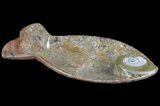 Fish-Shaped Fossil Goniatite Dish (Brown) - Stoneware #62450-2